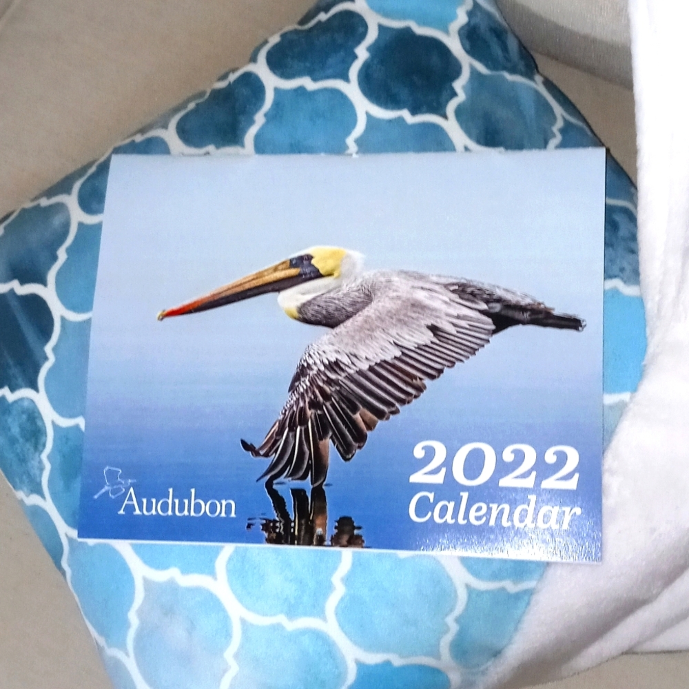 2022 bird calendar; great birdwatcher gift!